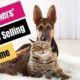 Pet Owners’ Guide to Selling Their Home