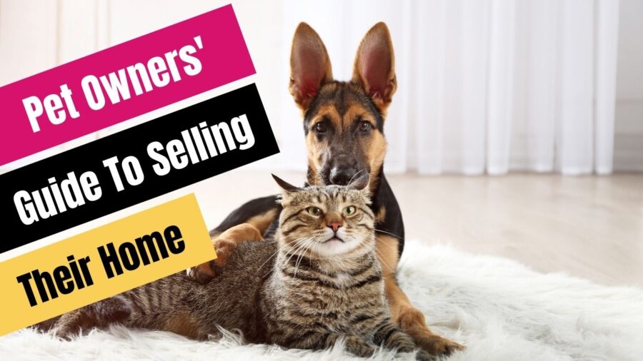 Pet Owners' Guide To Selling Their Home