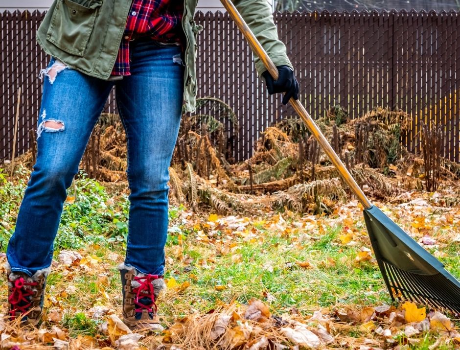 raking the yard