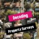 The Essential Homebuying Guide: Understanding Surveys, Easements, and Setbacks